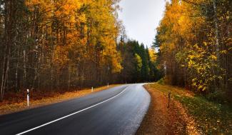 Road in the Autumn