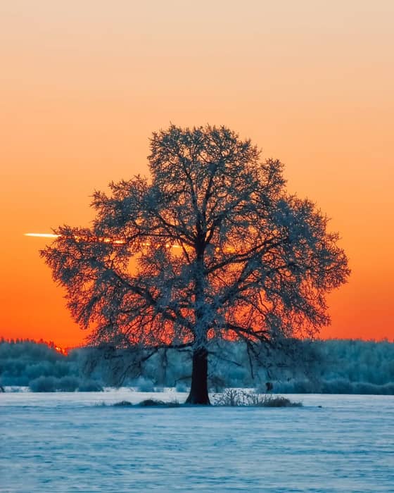 Zemgale invites you to explore it deeper. Ancient castles,