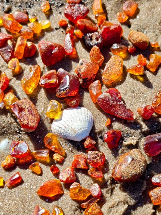 Amber – Latvia’s “stone of the sun,” carrying stories