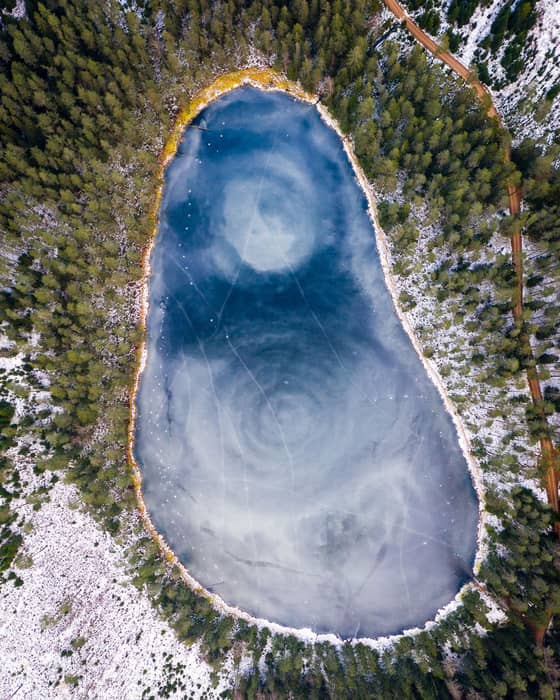 Bog trails are an ideal place to enjoy tranquillity and