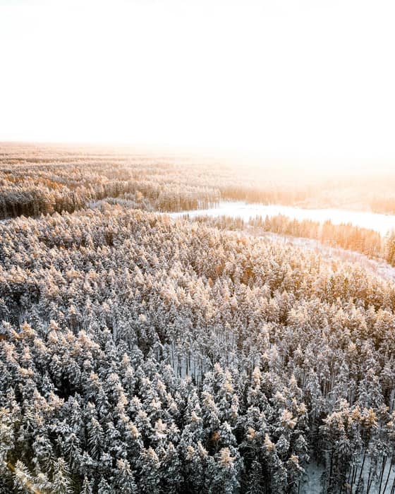 May this year give you the drive and inspiration both in