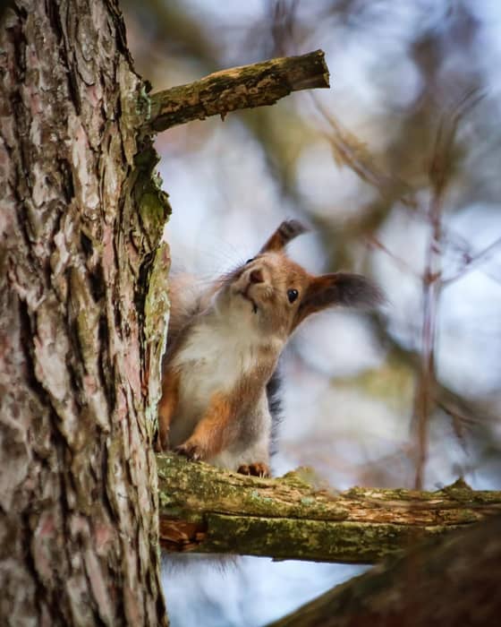 Which of these will be your next hiking destination? 

Gauja