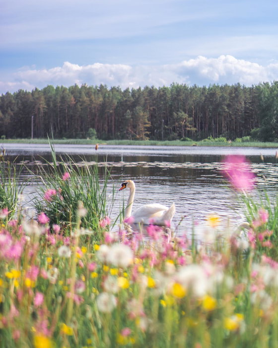 Did you know that Buļļu Island is the largest island in