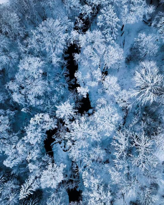 In the Abava Ancient valley, winding river bends, steep