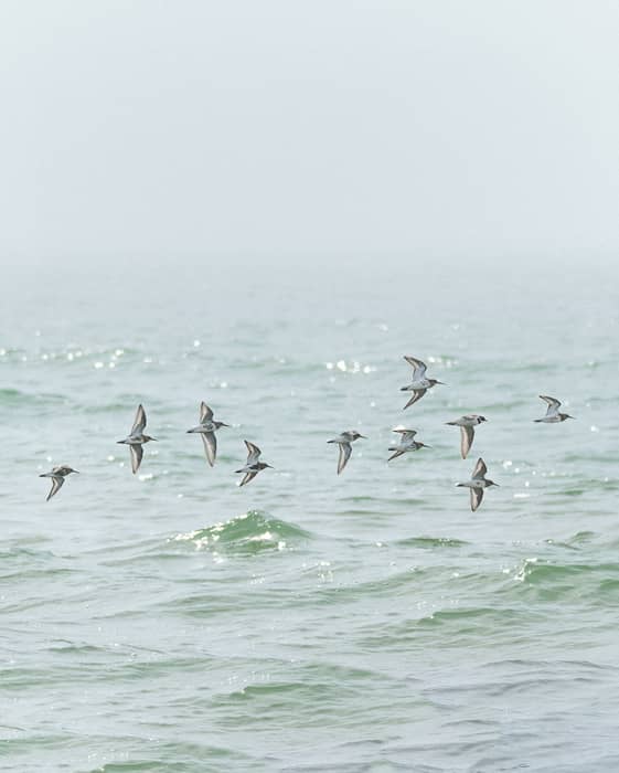People usually travel to Akmeņrags with intention. To walk