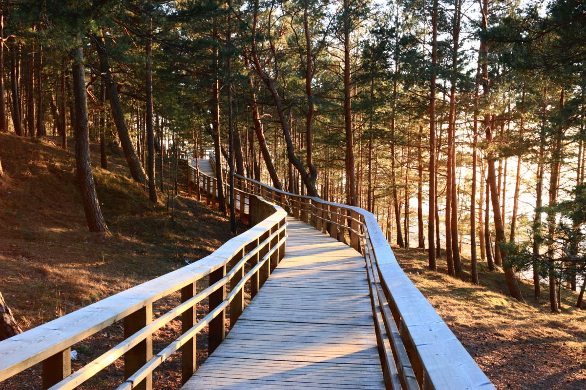 Тропа заката в Саулкрасты у Белой дюны