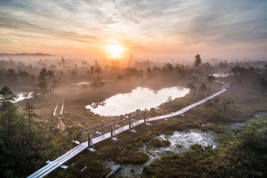 Kemeri bog boardwalk Latvia nature route