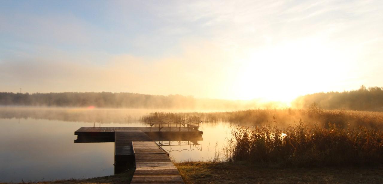 FACTS ABOUT LATVIA visual data 2