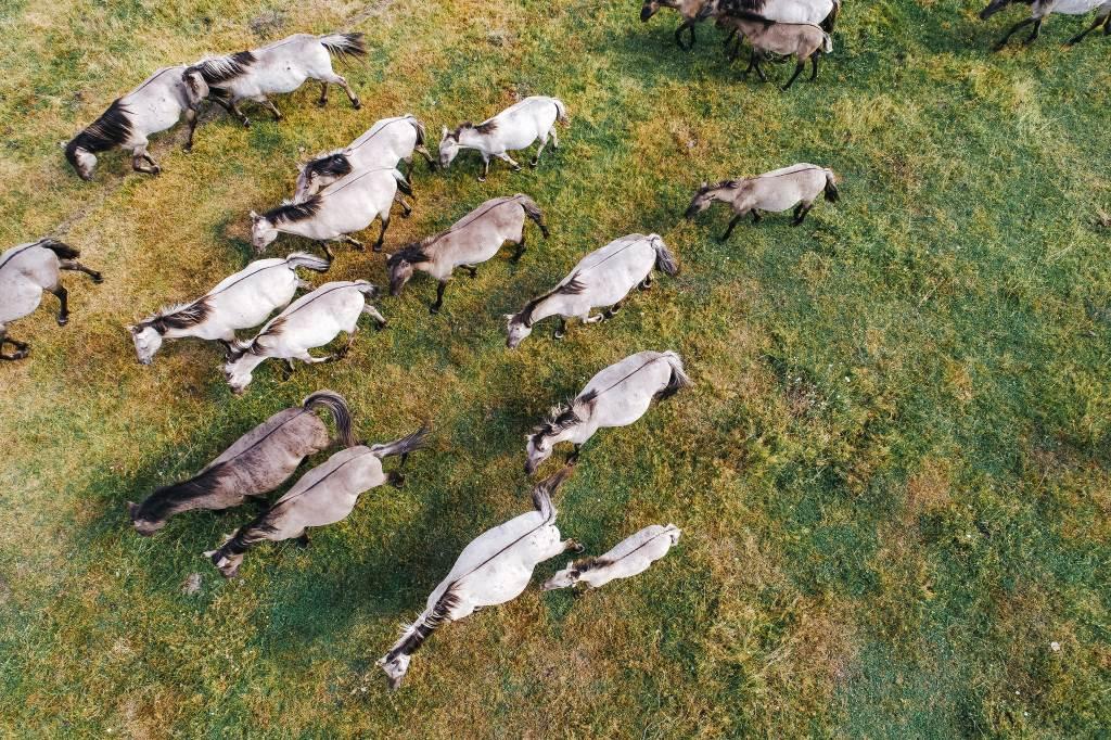 Pape Nature Park latvia.travel