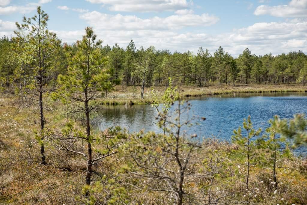 Nature Trails Latvia travel nature-trails-latvia-travel
