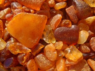 Unpolished pieces of amber from Baltic Sea