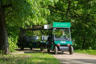 Gulbenes elektrovilcieniņš