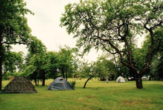 Kempings "Vīnrozes"