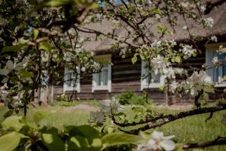 Andrupenes lauku sēta