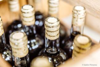 Līgatnes vīna darītava