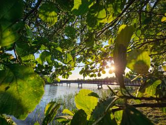 Templakalna parks