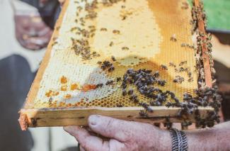 Atvērtās dienas laukos 2021