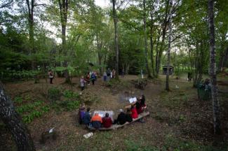 Garden Pearls Open Days