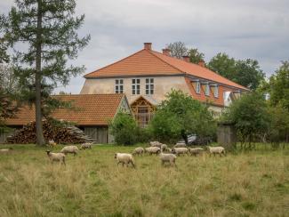 Garden Pearls Open Days