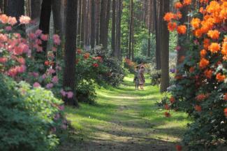 Garden Pearls Open Days