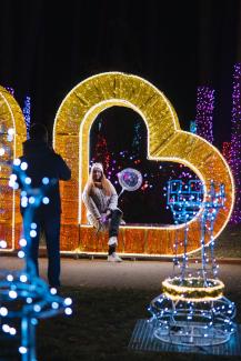 Multimediālā gaismas izstāde 