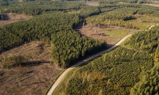 Road in Latvia from above