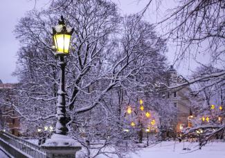 Pilsētas laternas sniegotā Rīgas parkā