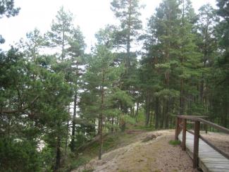 Ēvažu stāvkrasta dabas taka