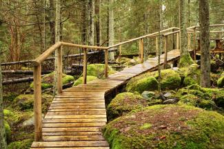 Dabas piemineklis "Kaltenes Kalvas" 