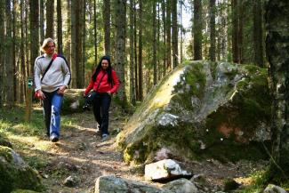 Dabas piemineklis "Kaltenes Kalvas" 