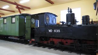 Viesītes mazais bānītis