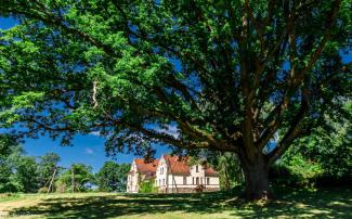 Mēru muiža un Smiltenes novada muzejs