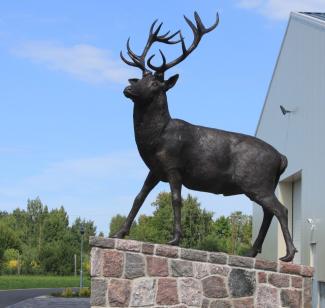 Briežu dārzs "Buku audzētava"