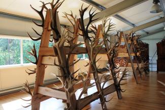 Briežu dārzs "Buku audzētava"