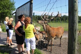 Briežu dārzs "Buku audzētava"