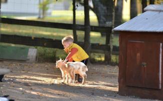 Dzīvo Sapņu Dārzs