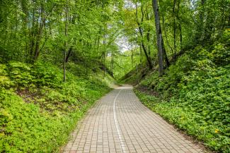 Krimuldas Serpentīna ceļš