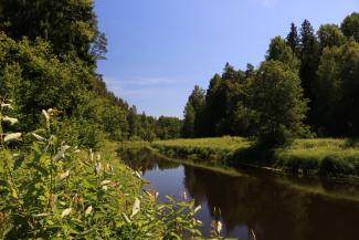 Dauģēnu taka