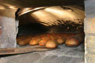 Maizes ceptuve "Lāči"