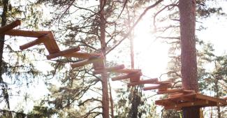 Piedzīvojumu parks Ogrē "Milžu taka"