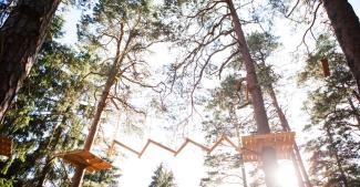 Piedzīvojumu parks Ogrē "Milžu taka"