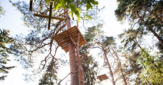 Piedzīvojumu parks Ogrē "Milžu taka"