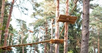 Piedzīvojumu parks Ogrē "Milžu taka"