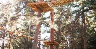 Piedzīvojumu parks Ogrē "Milžu taka"