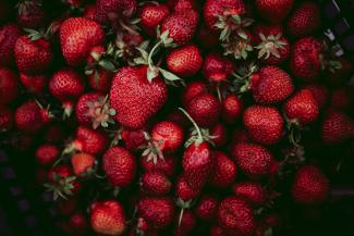 Vasaras saulgriežu svinības un tirdziņš GARDU MUTI