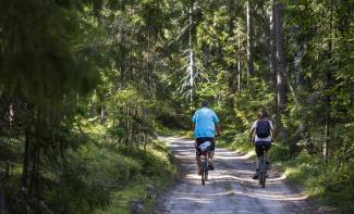 Ar velosipēdiem pa mežu/ active tourism in Latvia