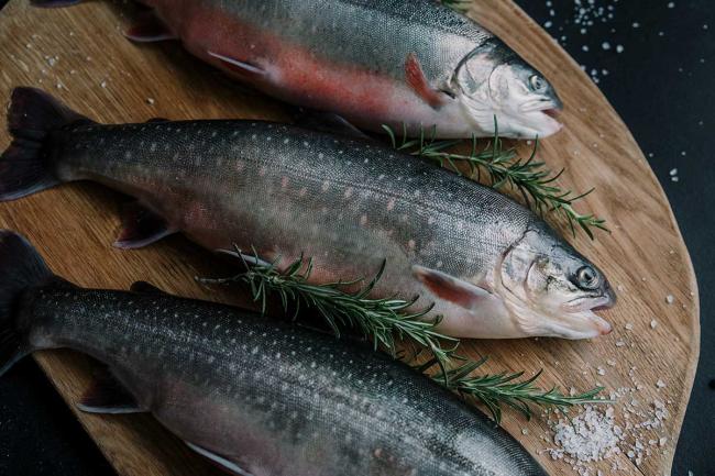 Ledus Riga A journey of taste in Pierīga | latvia.travel